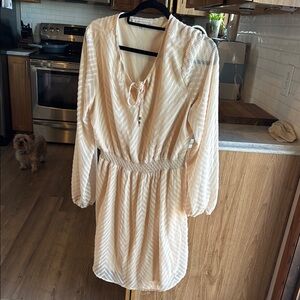 Daniel Rainn Cream Blouse with Lace Trim